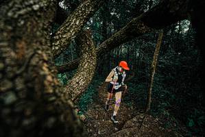 BIB: 
                            <button type="button" onclick="openModal(25695082)" class="btn btn-primary btn-sm float-right btn-popup" data-toggle="modal" data-target=".modal-high-quality">
                        <i class="fas fa-shopping-cart"></i> Add to Cart
                    </button>
                                            <button type="button" onclick="isThisMe(25695082, true)" class="btn btn-success btn-sm float-right btn-popup btn-isme hidden" data-toggle="tooltip" data-placement="bottom" title="นี่คือรูปของคุณใช่ไหม คลิกที่นี่เพื่อเอาเข้าอัลบั้ม">
                        <i class="fas fa-plus"></i> Add to album
                    </button>
                    <button type="button" onclick="isThisMe(25695082, false)" class="btn btn-warning btn-sm float-right btn-popup btn-isnotme hidden">
                        <i class="fas fa-ban"></i> Remove from album
                    </button>